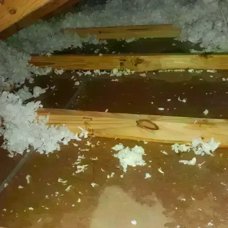 Attic Water Damage in Rockingham, NC