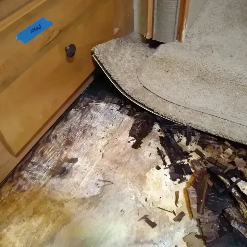 Wood Floor Water Damage in Rockingham, NC